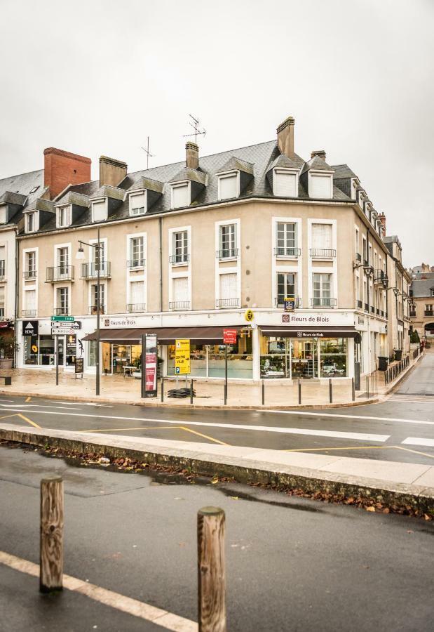 Les Lumieres De La Loire Lejlighed Blois Eksteriør billede