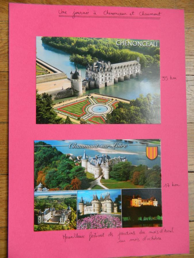 Les Lumieres De La Loire Lejlighed Blois Eksteriør billede