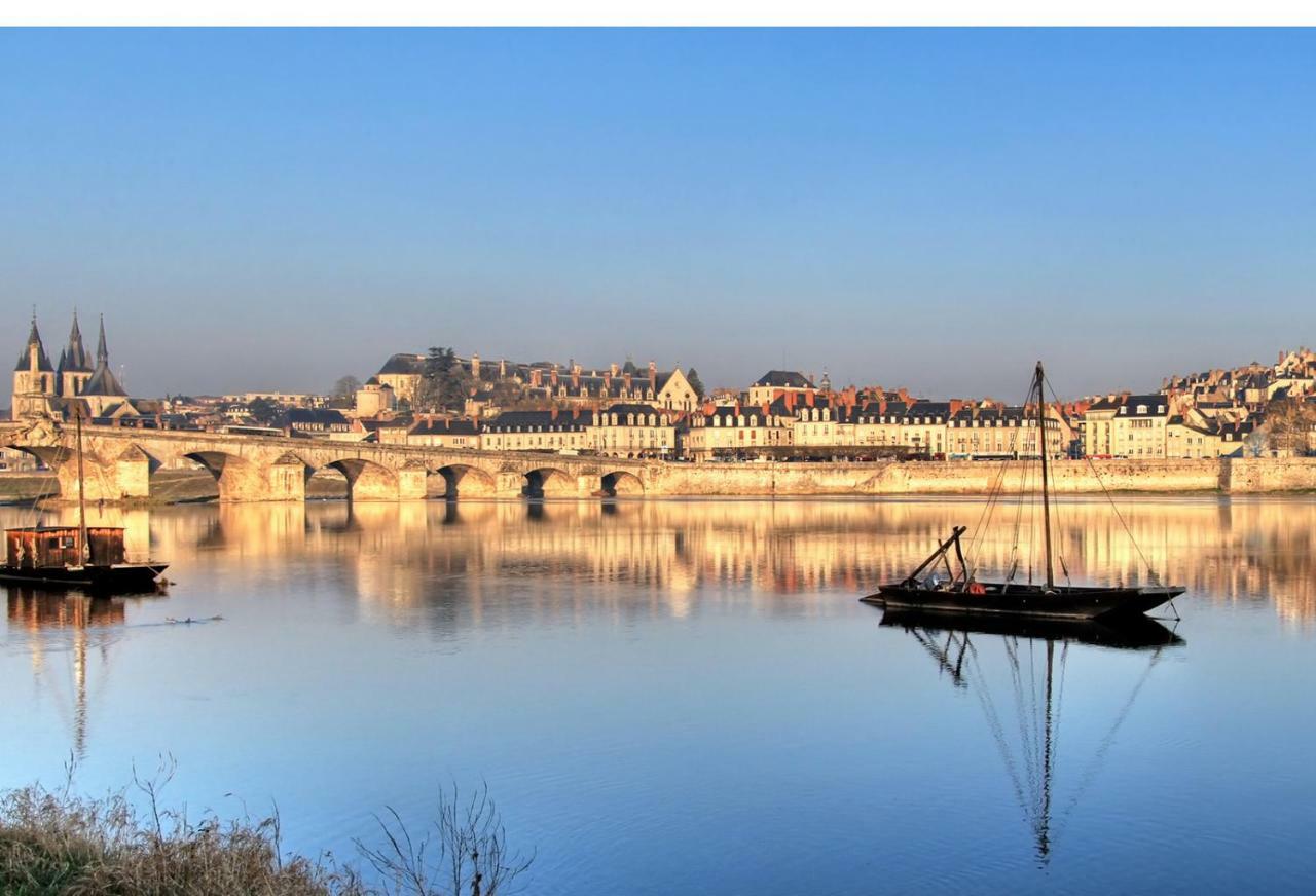 Les Lumieres De La Loire Lejlighed Blois Eksteriør billede