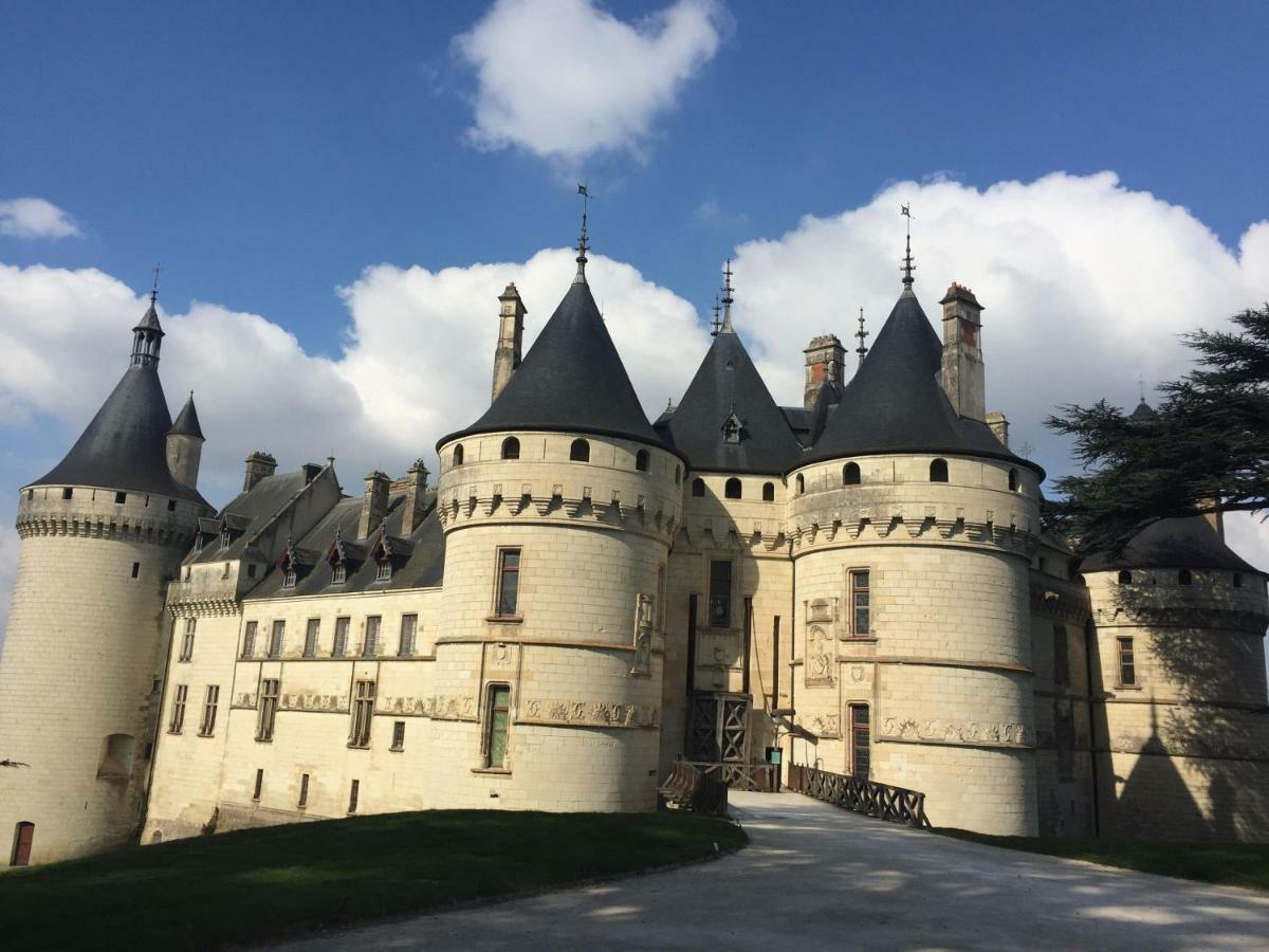 Les Lumieres De La Loire Lejlighed Blois Eksteriør billede